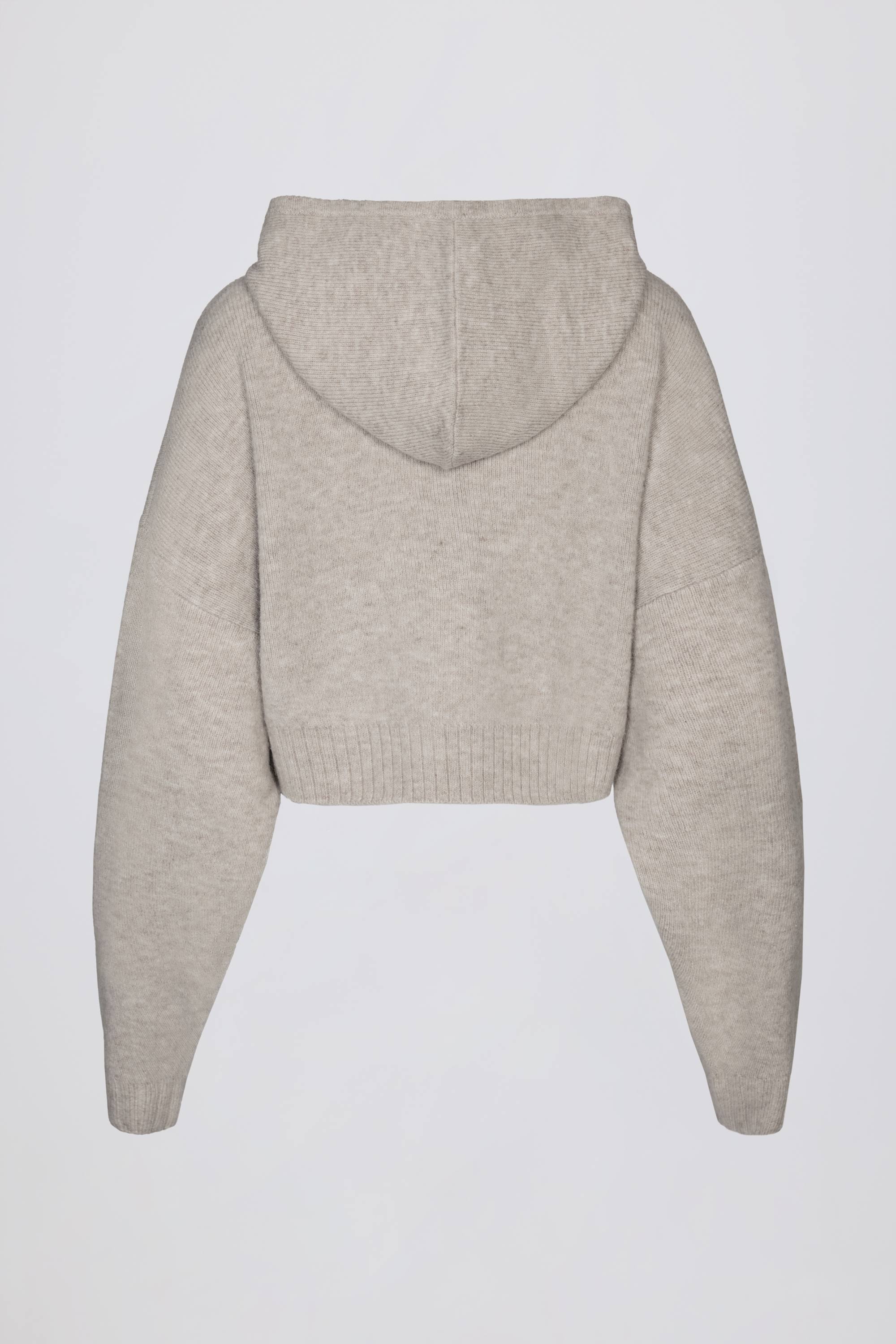 BT02527-